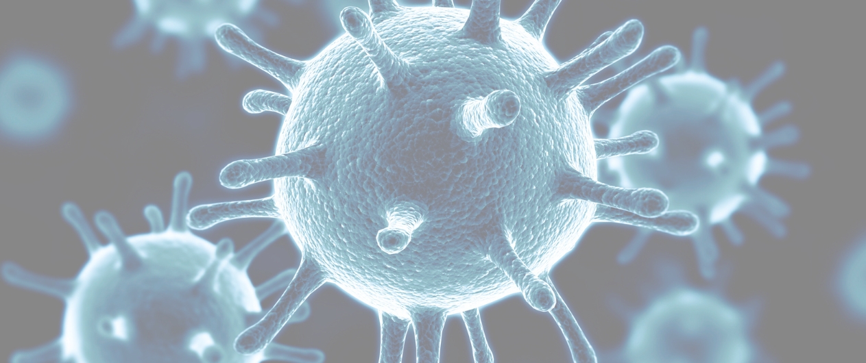 BSc 1st Year MCZ Bundle - All Subjects Classes and Notes